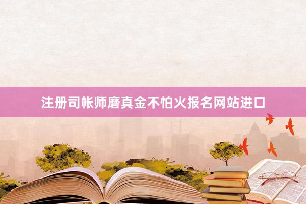注册司帐师磨真金不怕火报名网站进口